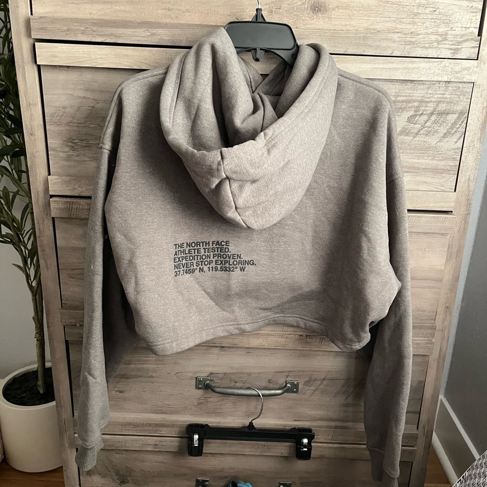 The North Face Cropped Heather Gray Hoodie - Picture 3 of 6
